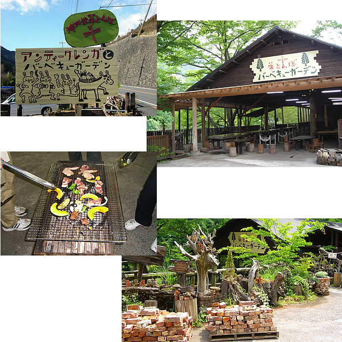20120610oku.jpg