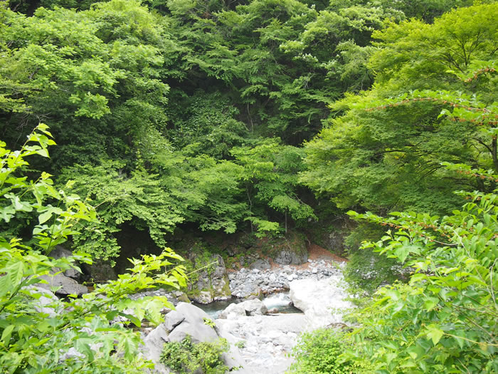 201306124.jpg
