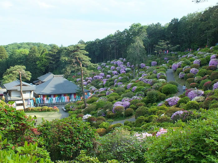 201404302.jpg