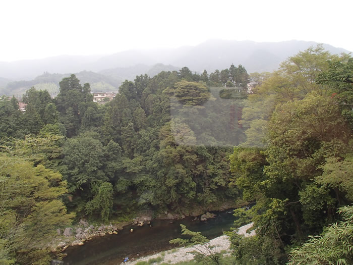 P7050002.jpg